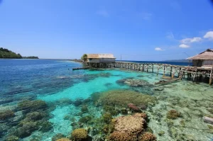 Wakatobi Tourist Destinations