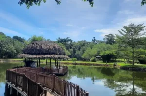 Kampung Ladang Outbound, Nature Tourism and Family Recreation in Deli Serdang